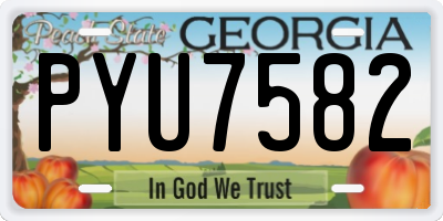GA license plate PYU7582