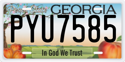 GA license plate PYU7585