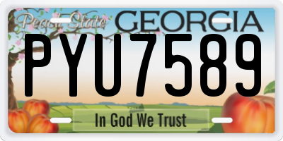 GA license plate PYU7589