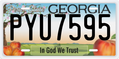 GA license plate PYU7595