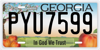 GA license plate PYU7599