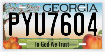 GA license plate PYU7604