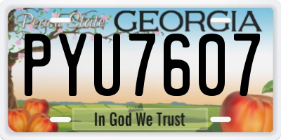GA license plate PYU7607