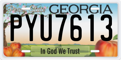GA license plate PYU7613