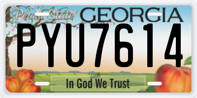 GA license plate PYU7614