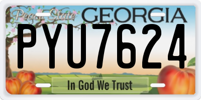 GA license plate PYU7624