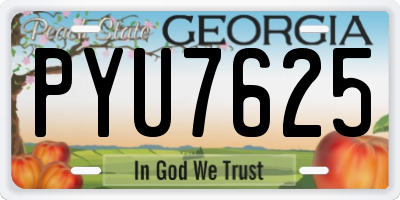 GA license plate PYU7625