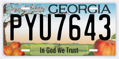 GA license plate PYU7643