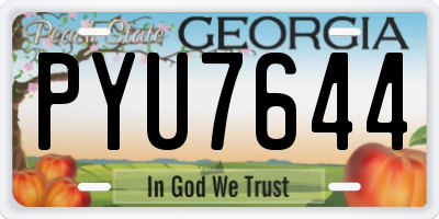 GA license plate PYU7644