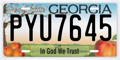 GA license plate PYU7645