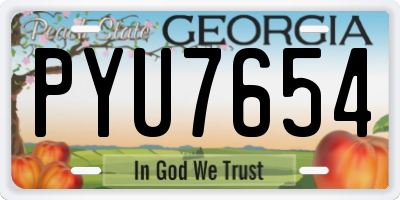 GA license plate PYU7654