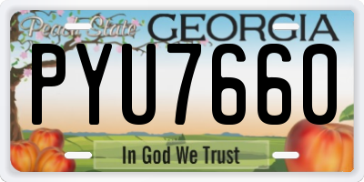 GA license plate PYU7660