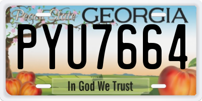 GA license plate PYU7664