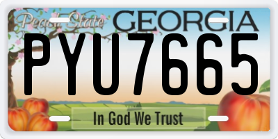 GA license plate PYU7665
