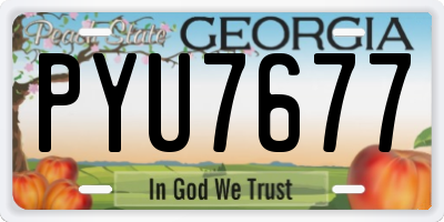 GA license plate PYU7677