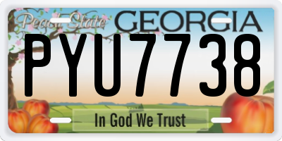 GA license plate PYU7738
