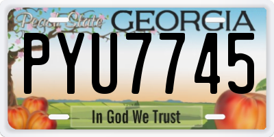 GA license plate PYU7745