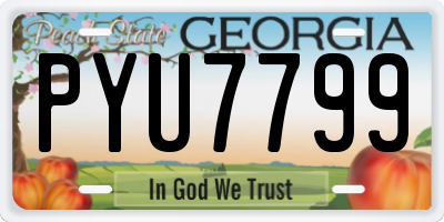 GA license plate PYU7799