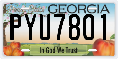 GA license plate PYU7801