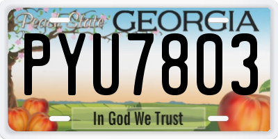 GA license plate PYU7803