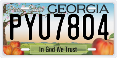 GA license plate PYU7804