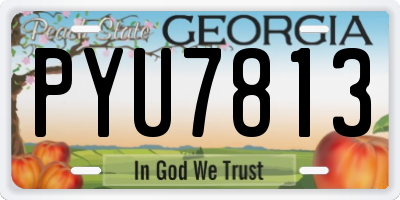 GA license plate PYU7813
