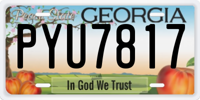 GA license plate PYU7817