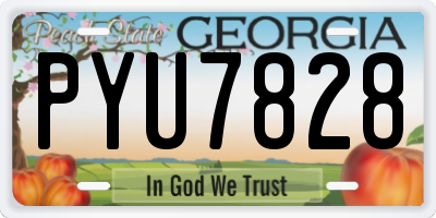 GA license plate PYU7828