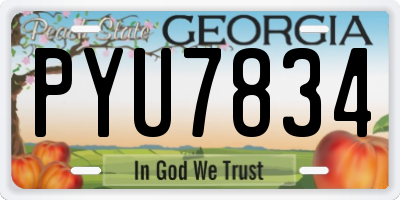 GA license plate PYU7834