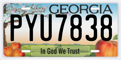 GA license plate PYU7838