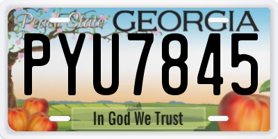GA license plate PYU7845
