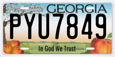 GA license plate PYU7849