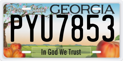 GA license plate PYU7853