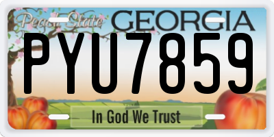 GA license plate PYU7859