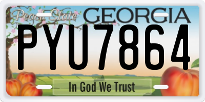 GA license plate PYU7864