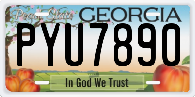 GA license plate PYU7890