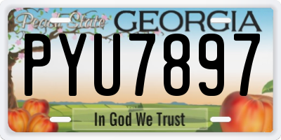 GA license plate PYU7897
