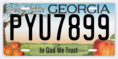 GA license plate PYU7899