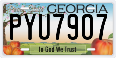 GA license plate PYU7907