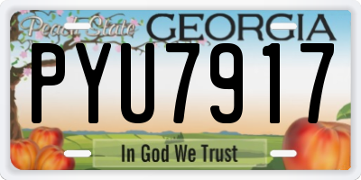 GA license plate PYU7917