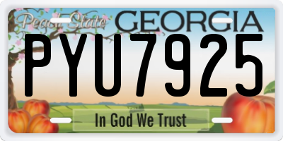 GA license plate PYU7925