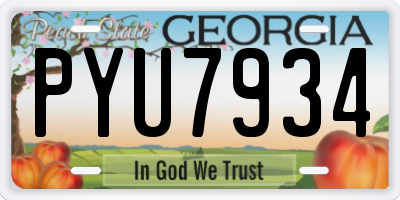 GA license plate PYU7934