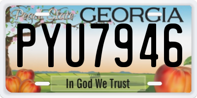 GA license plate PYU7946