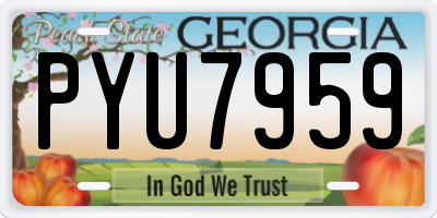 GA license plate PYU7959