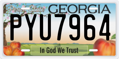 GA license plate PYU7964