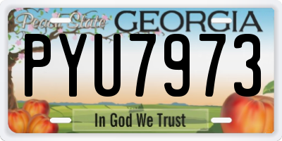 GA license plate PYU7973