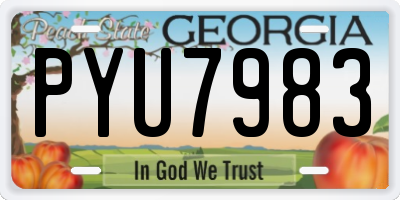 GA license plate PYU7983