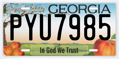 GA license plate PYU7985