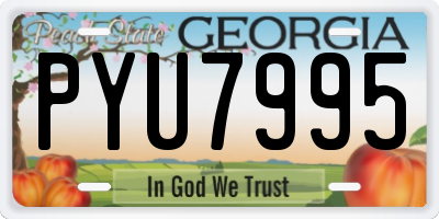 GA license plate PYU7995