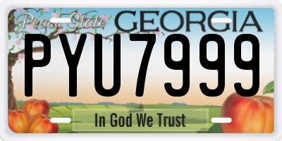 GA license plate PYU7999